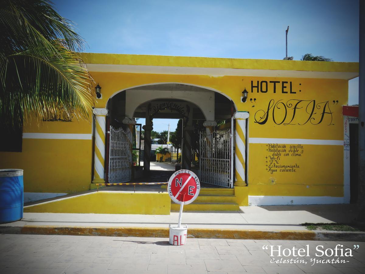 Hotel Sofia セレストゥン エクステリア 写真