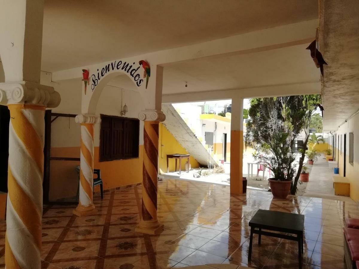 Hotel Sofia セレストゥン エクステリア 写真